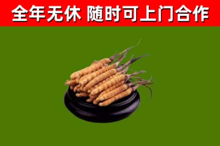 猇亭区烟酒回收冬虫夏草.jpg
