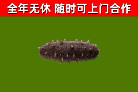 猇亭区烟酒回收干海参.jpg
